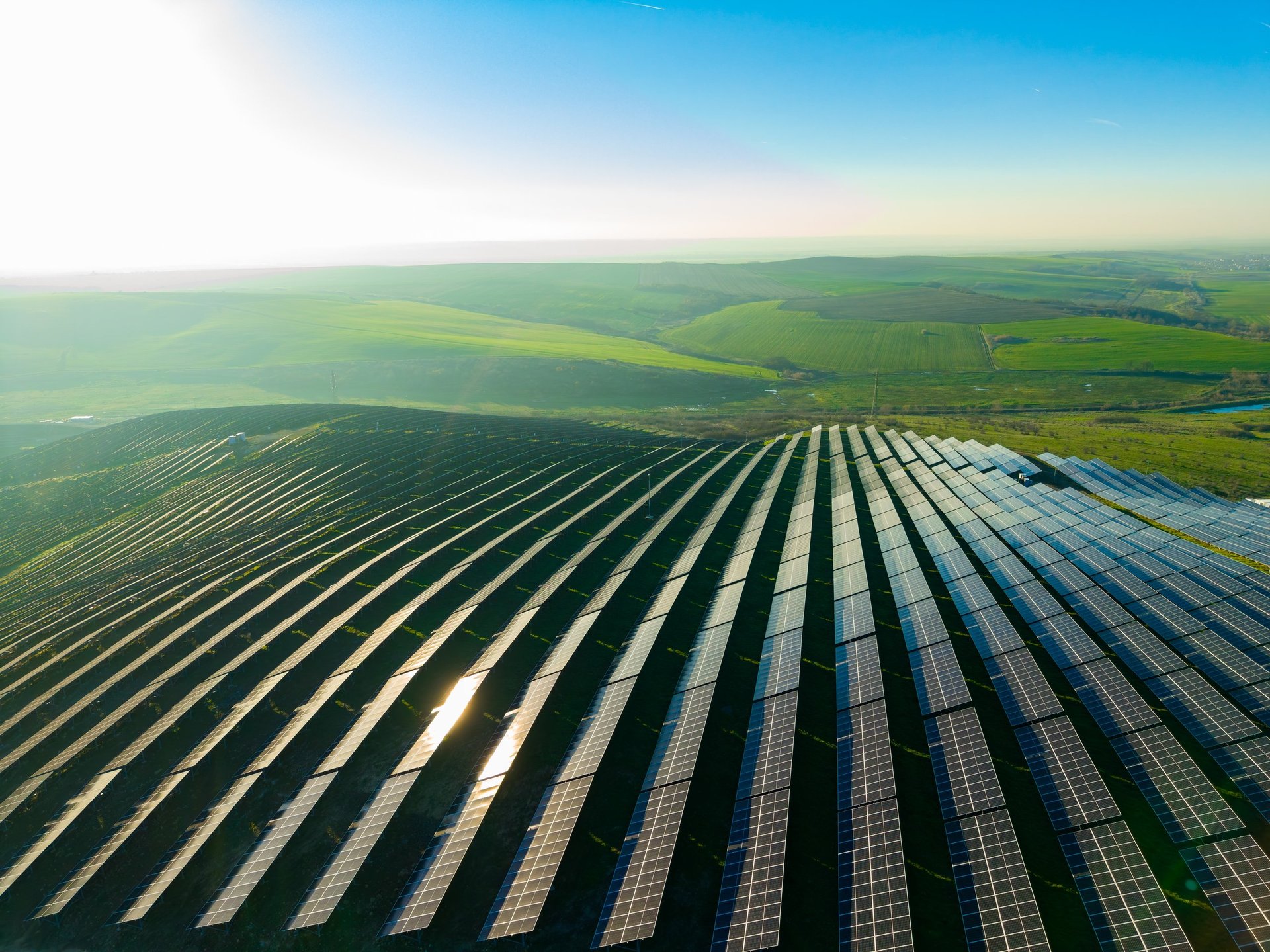 Rows of solar panels stretch across rolling hills under a clear sky, showing the integration of renewable energy with nature.