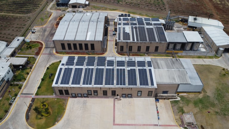 Vista aérea de una instalación industrial con paneles solares en los techos y áreas verdes
